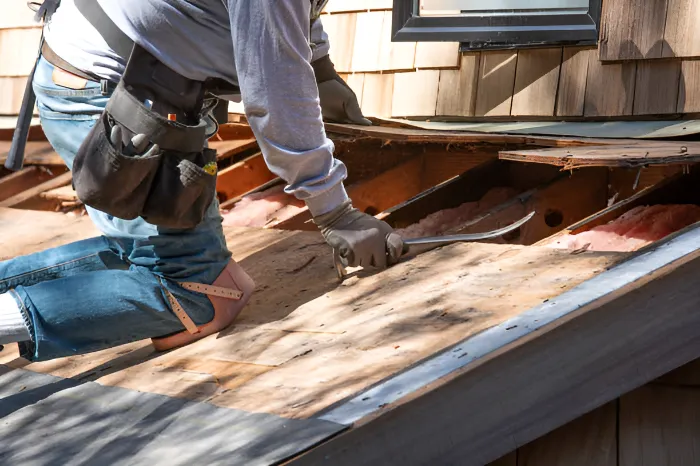 Quality Insulation Removal in Royse City, TX